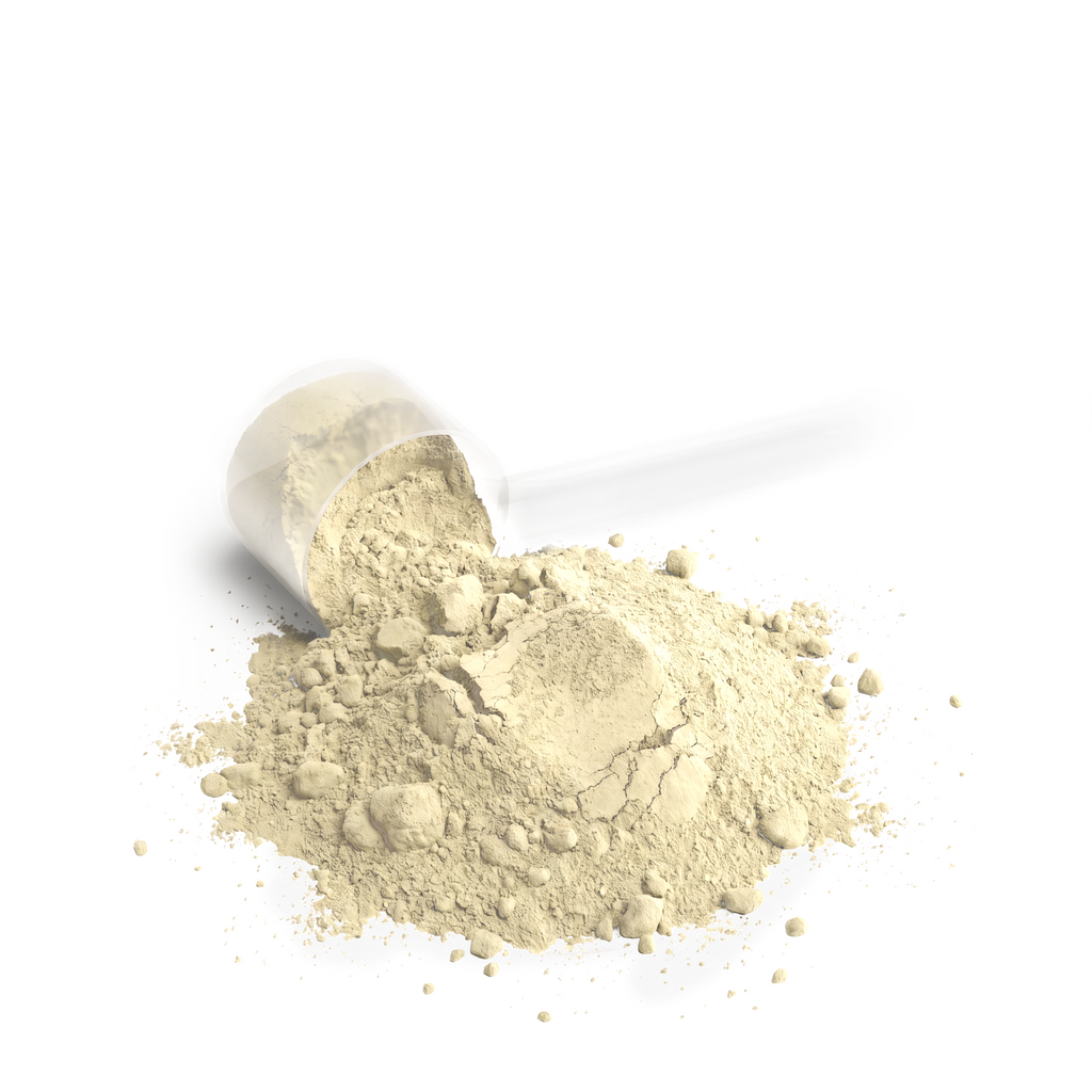 Elevate Protein Powder (Vanilla)