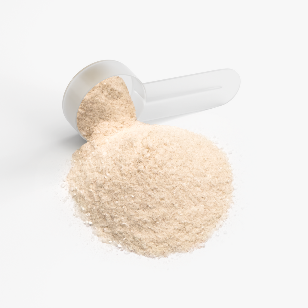 Replenish Hydration Powder (Lemonade)